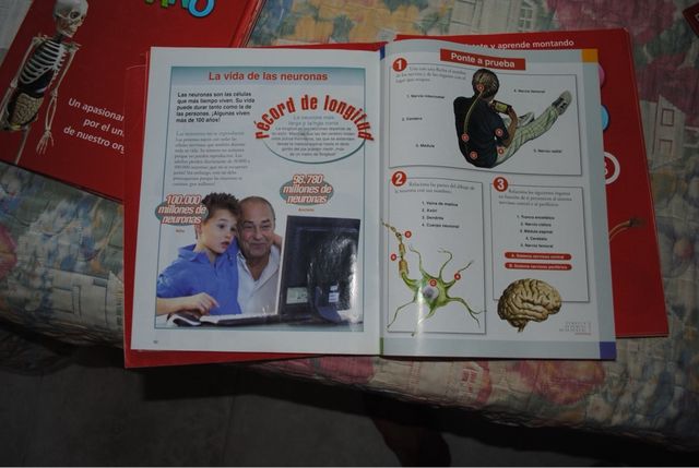 Esqueleto Humano + Revistas