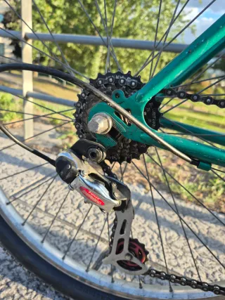 Bicicleta Bianchi Rhagodex