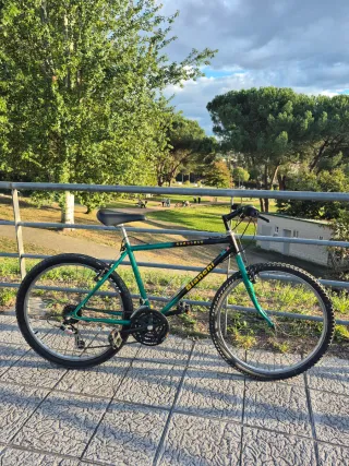 Bicicleta Bianchi Rhagodex