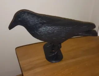 Corvo in plastica antipiccioni. Nuovo