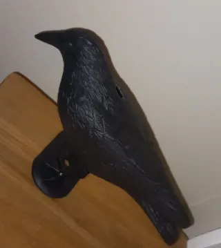 Corvo in plastica antipiccioni. Nuovo