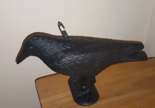 Corvo in plastica antipiccioni. Nuovo