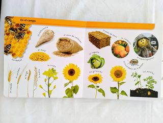 Libro granja con memory