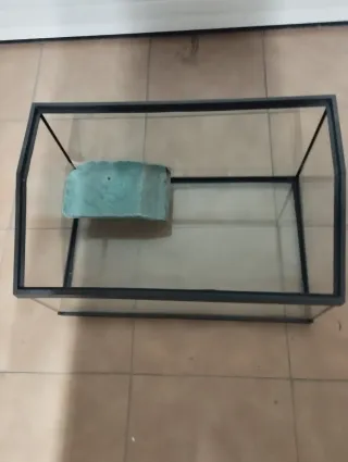 Tortuguero de cristal, ideal para tortugas