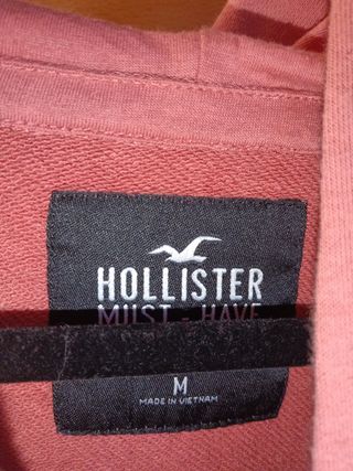 Sudadera Hollister color salmón 