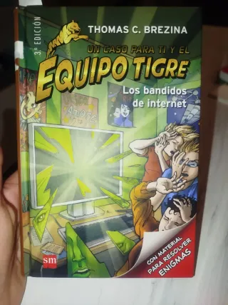 Los bandidos de internet