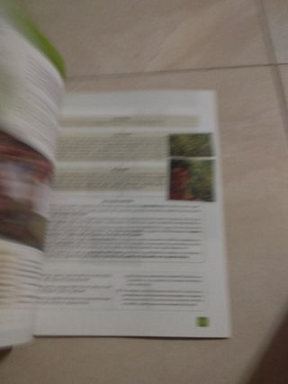 RELIGIÓN CATÓLICA 3 ESO PACK