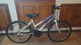 Bicicleta Topbike 24''