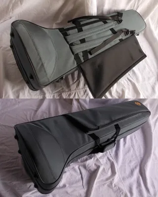 Trombone TRB 210 con custodia