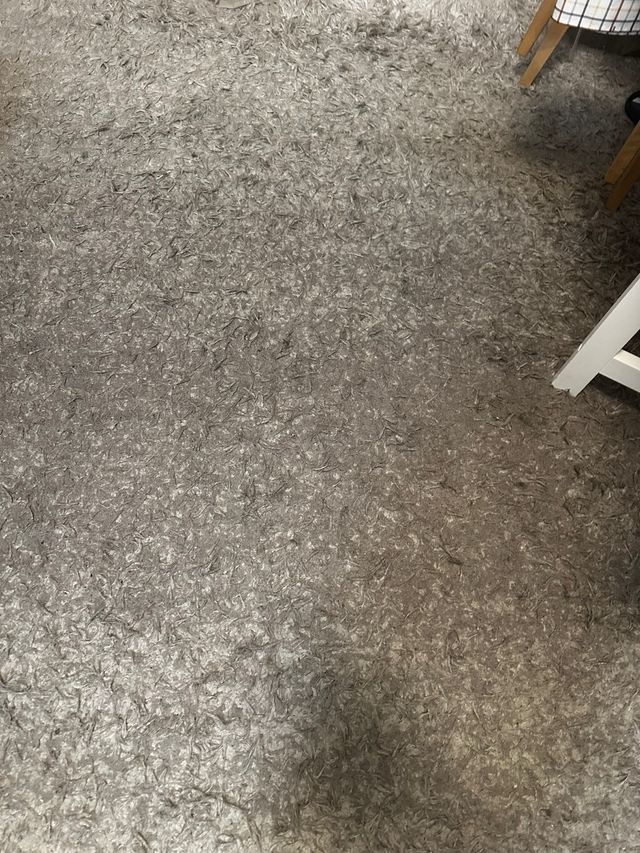 Alfombra beige/gris poliéster 200x290