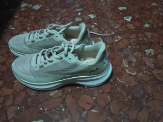 Tenis Fila Beige y Dorado
