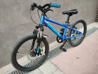 Bicicleta Infantil 20 Azul