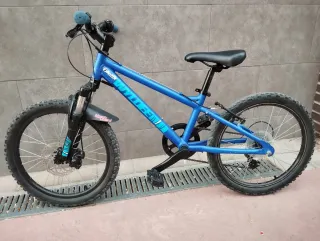 Bicicleta Infantil 20 Azul