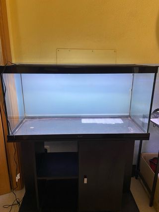 Acuario 200L con mesa y muchos extras