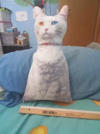 Peluche Gatto Bianco Occhi Diversi