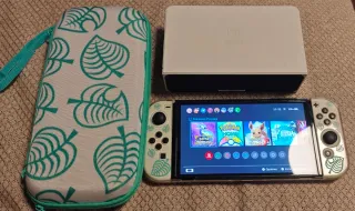 Nintendo Switch OLED White: nessun accesso a Internet.