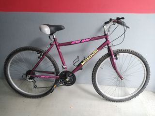 Bicicleta Montaña GW Missouri 26