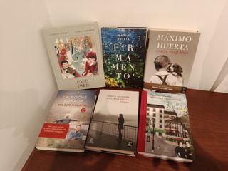 Lote 6 libros Maxim Huerta
