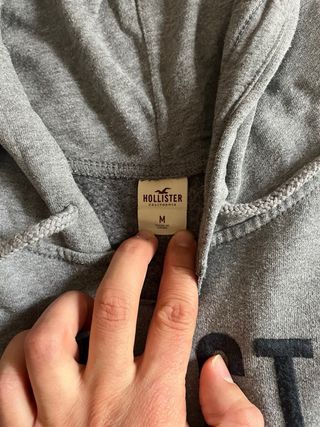 Sudadera Hollister Gris