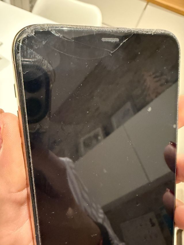 iPhone 11 Pro Max in oro