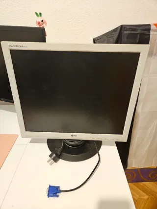 Pantalla LG Flatron Ordenador