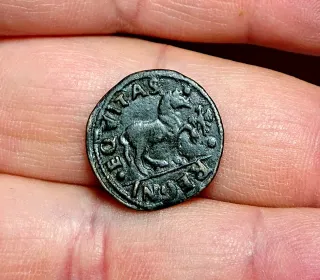 Regno Napoli Ferdinando I D'Aragona Cavallo Aquila