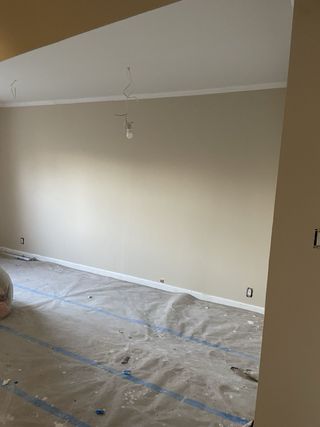 Pintura y alisado profesional