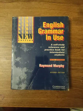 English Grammar in Use With Answers: Reference ...