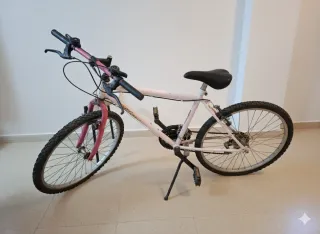 Bicicleta Talla 24