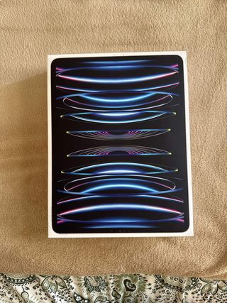 iPad Pro 12.9 6ª Gen M2 Plata