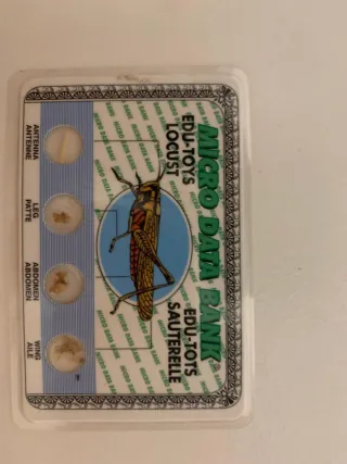Microscopio Kaptaia 100X-900X Juguete