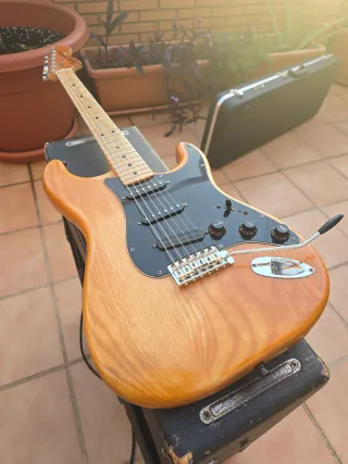 Fender Stratocaster 1979