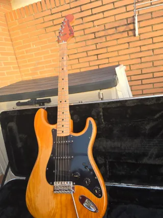 Fender Stratocaster 1979