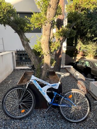 Bicicleta Montaña FREEDOM JR 24