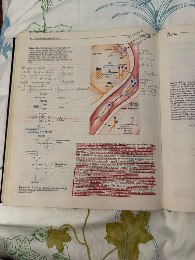 Principi di biochimica