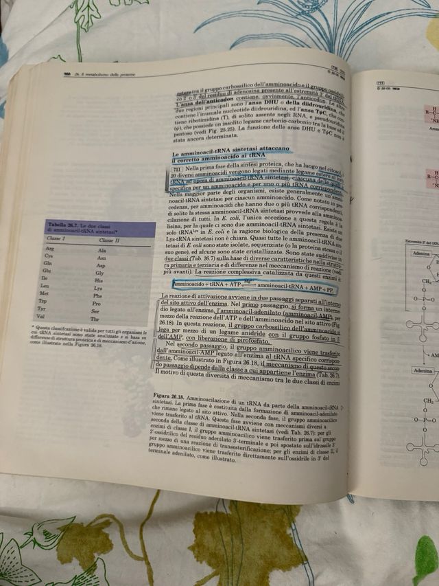 Principi di biochimica