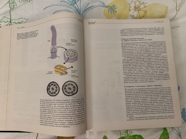 Principi di biochimica