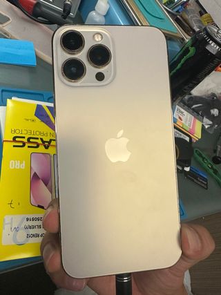 iPhone 13 Pro Max Plata