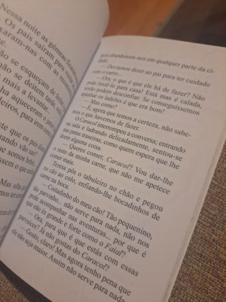 Uma Aventura Na Cidade (Portuguese Edition)