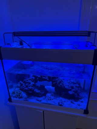 Acuario agua salada 60L rocas Ecoreef mas mueble 
