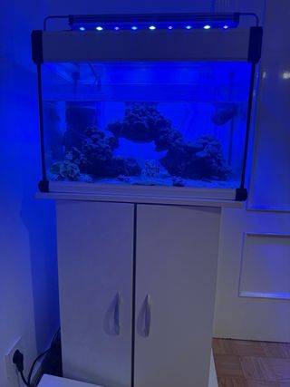 Acuario agua salada 60L rocas Ecoreef mas mueble 