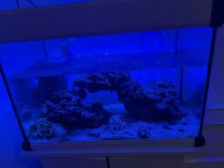Acuario agua salada 60L rocas Ecoreef mas mueble 