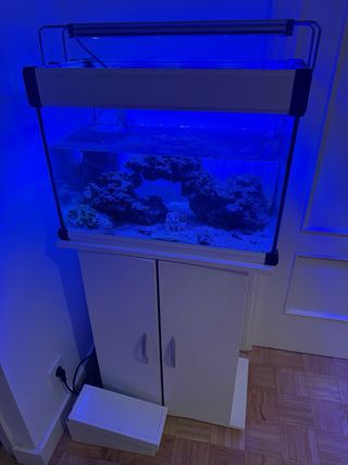 Acuario agua salada 60L rocas Ecoreef mas mueble 