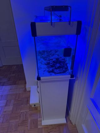Acuario agua salada 60L rocas Ecoreef mas mueble 