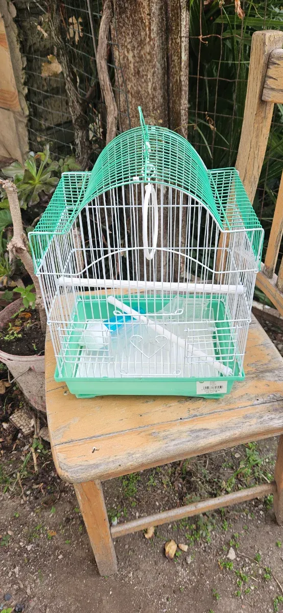 Gabbia per uccelli verde e bianca