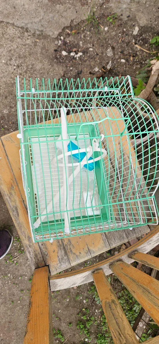 Gabbia per uccelli verde e bianca