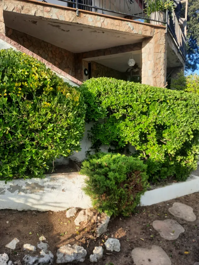 Jardinero profecional