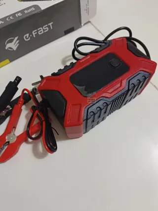 Cargador Batería 12V