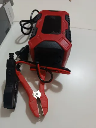 Cargador Batería 12V