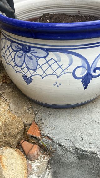 Maceta cerámica grande azul y blanca